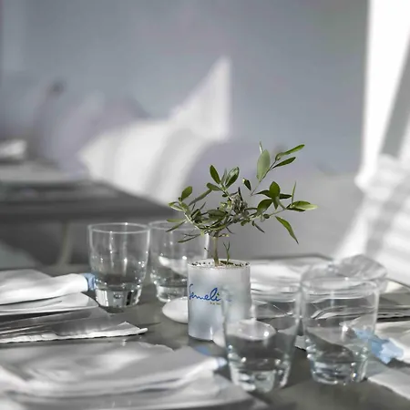 ホテル Semeli Mykonos 5*