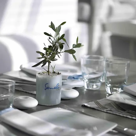 Semeli Mykonos